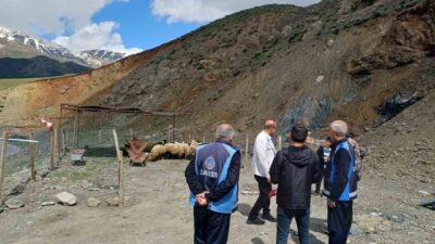 Hakkari’de Kurban Bayramı öncesi kurulan hayvan pazarında kurbanlık satışları başladı.