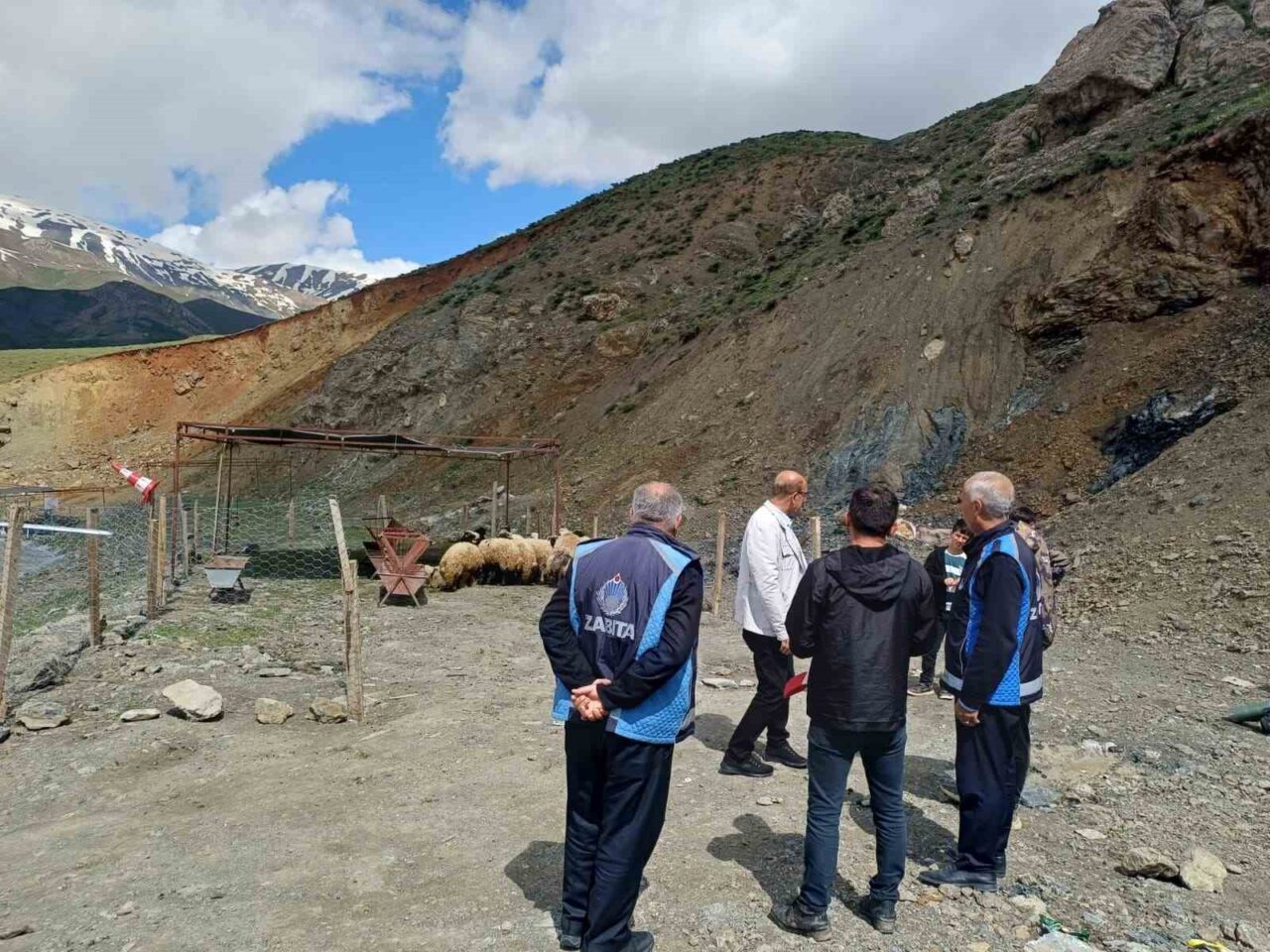 Hakkari’de Kurban Bayramı öncesi kurulan hayvan pazarında kurbanlık satışları başladı.