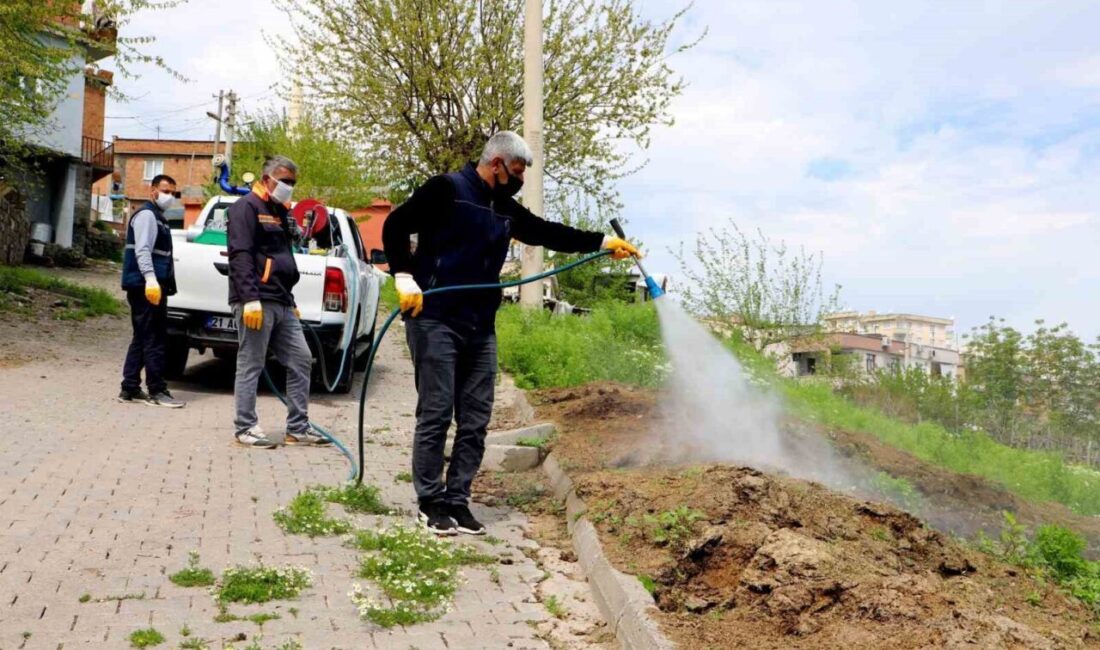 Diyarbakır Büyükşehir Belediyesi, halk buluşmalarında vatandaşların dile getirdiği talepleri “Yerinde