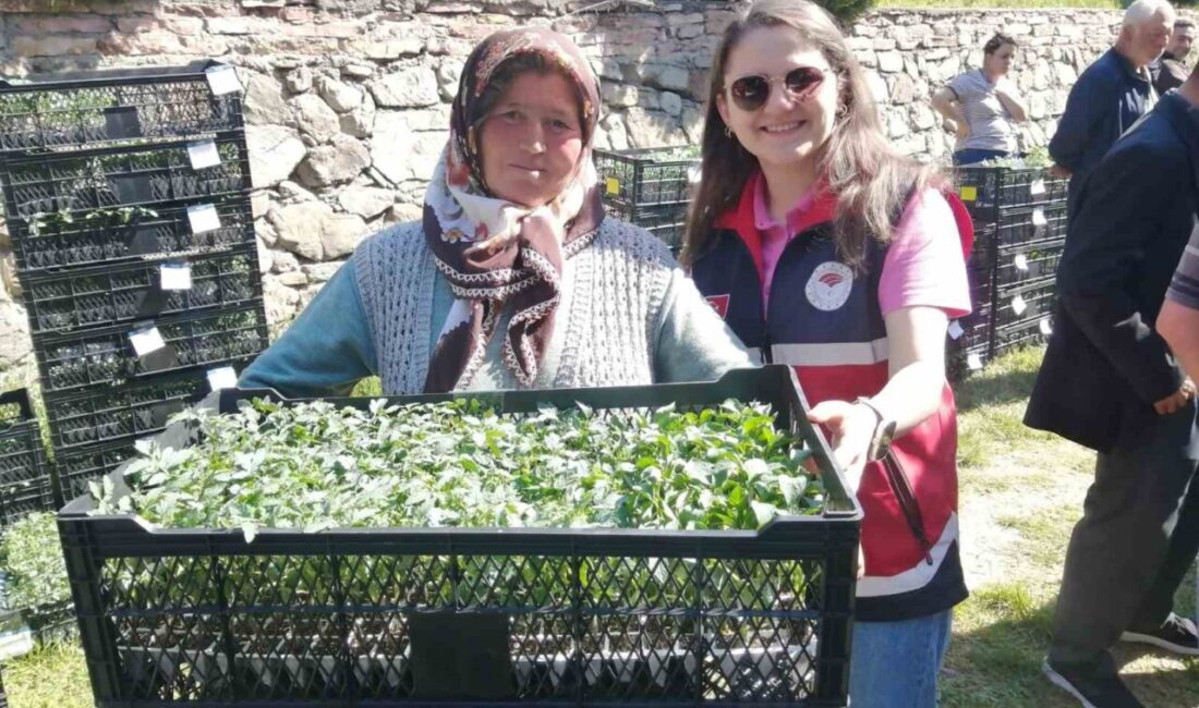 Kastamonu’nun Hanönü ilçesinde 160 kişiye 30 bin domates biber ve