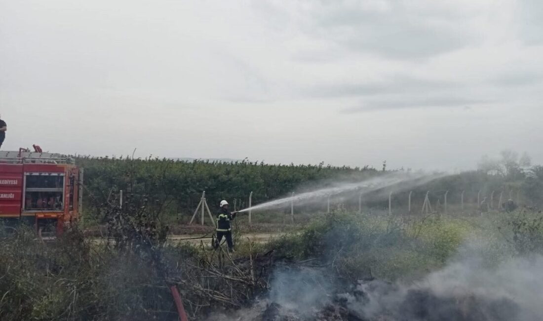 Hatay’ın Hassa ilçesinde bulunan zeytinlik alanda çıkan yangın, itfaiye ekiplerinin