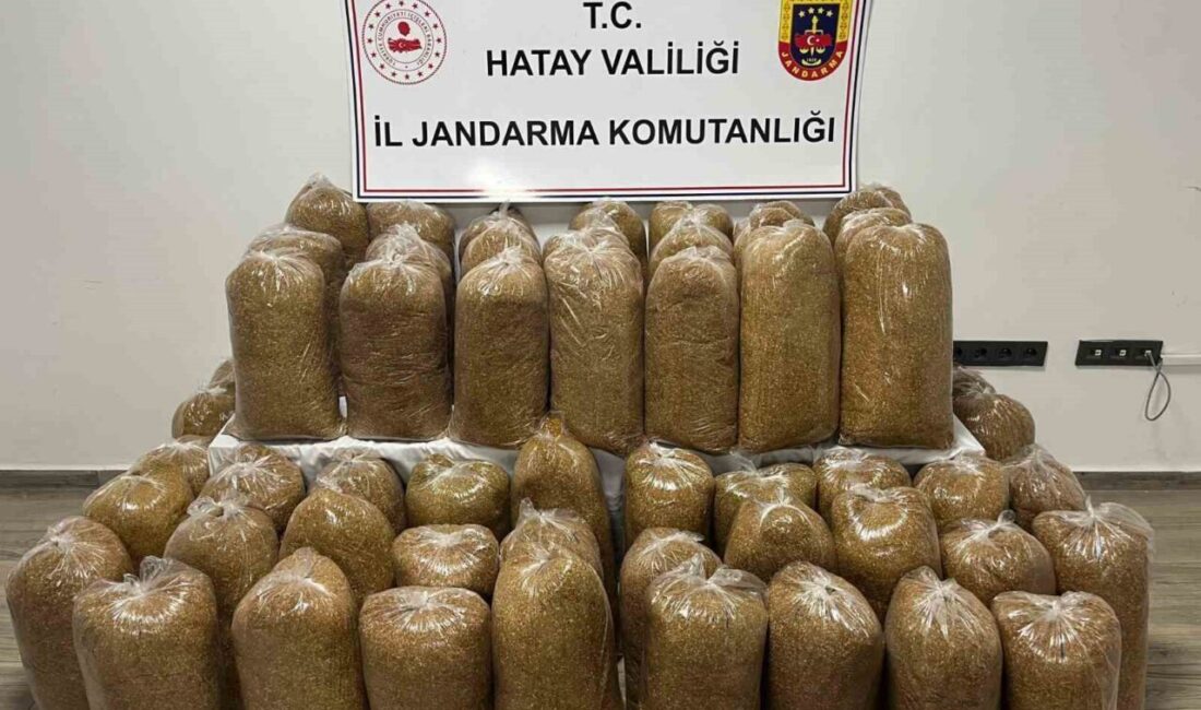 Hatay’da İl Jandarma Komutanlığı ekiplerince son bir ay içerisinde gerçekleştirilen