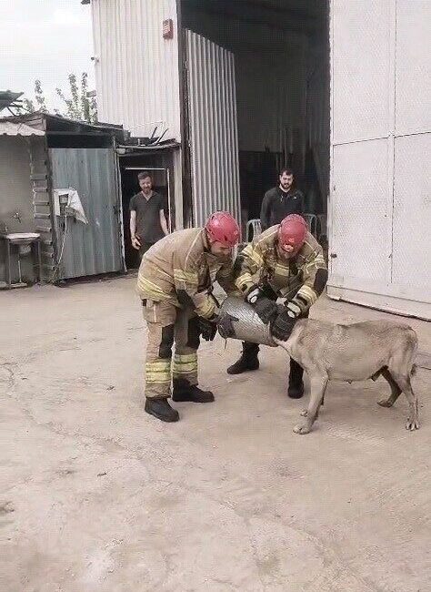 Bursa’nın İnegöl ilçesinde başını iş makinesi hava filtresine sıkıştıran gebe