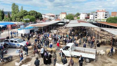 Kurban Bayramı’na sayılı saatler kala, bölgenin tek ruhsatlı canlı hayvan