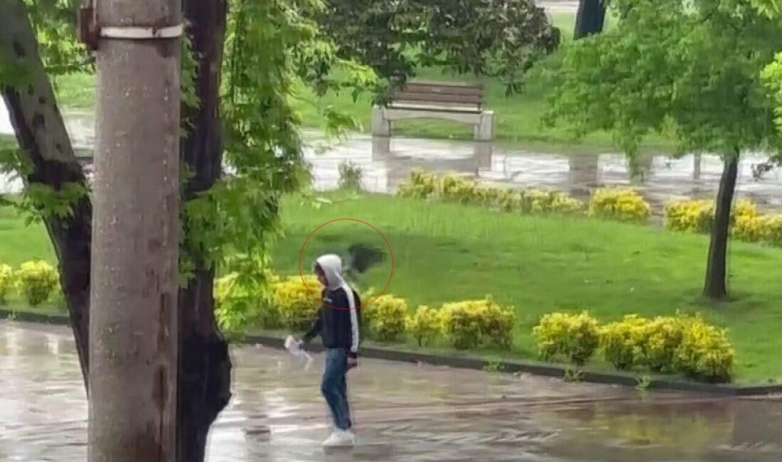 Ordu’da sahilde yürüyüş yapan vatandaşlar yağmura değil, haylaz bir kargaya