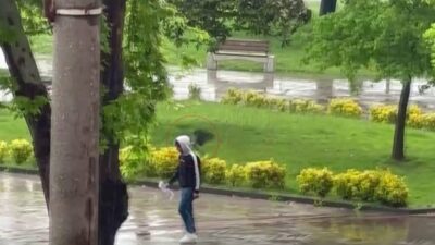 Ordu’da sahilde yürüyüş yapan vatandaşlar yağmura değil, haylaz bir kargaya