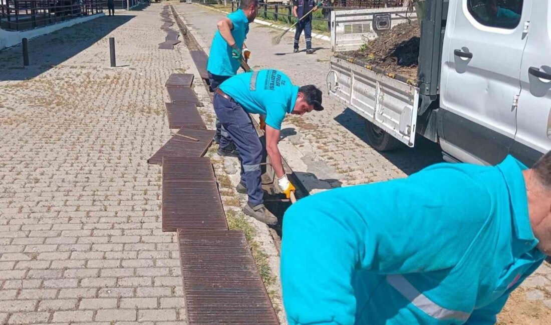 Yaklaşan Kurban Bayramı ile birlikte hayvan pazarlarında hareketlilik başlarken, Efeler