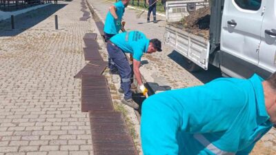 Yaklaşan Kurban Bayramı ile birlikte hayvan pazarlarında hareketlilik başlarken, Efeler