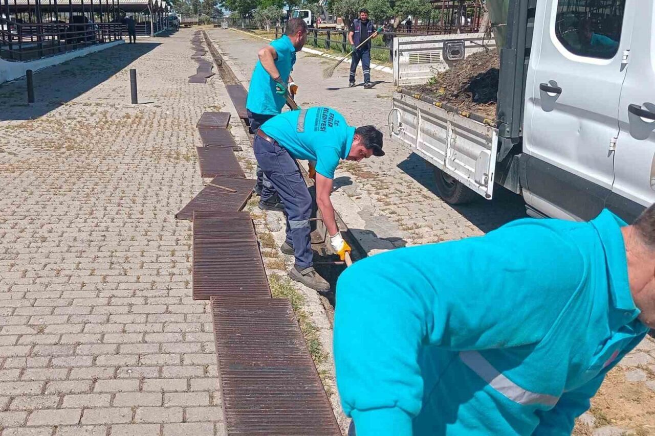 Yaklaşan Kurban Bayramı ile birlikte hayvan pazarlarında hareketlilik başlarken, Efeler