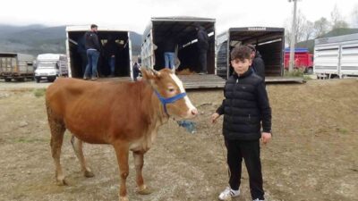 Bolu’nun Mudurnu ilçesinde kurulan hayvan pazarında celepçilik yapan 13 yaşındaki
