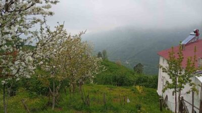 Sakarya’nın Hendek ilçesinde yüksek rakımlı bölgelerde baharın gelişi ve etkili