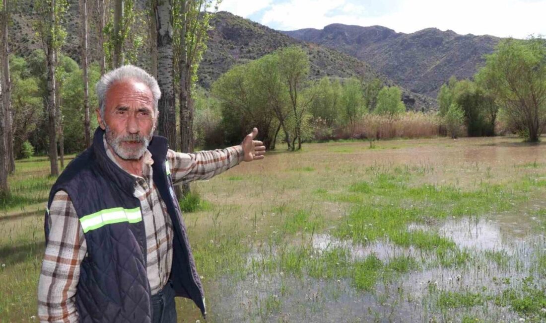Erzurum’un Olur ilçesine bağlı Köprübaşı Mahallesi sakinleri, 2022 yılında faaliyete