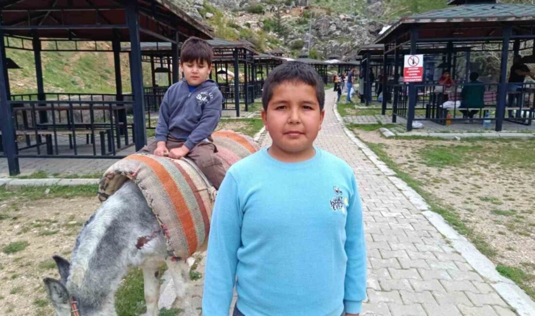 Kayseri’nin Develi ilçesindeki Homurlu Şelalesi’nin bulunduğu alanda eşek turları başladı.