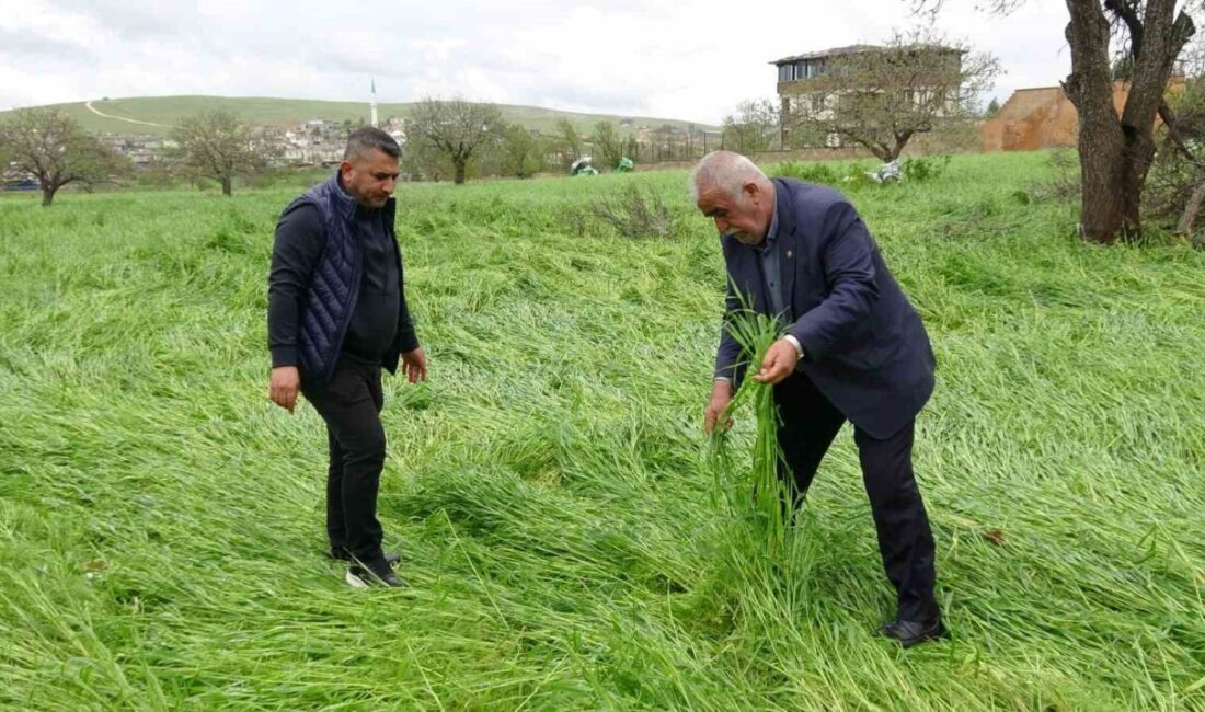 Gaziantep’te hafta sonu etkili olan ’süper hücre’ hayatı adeta felç