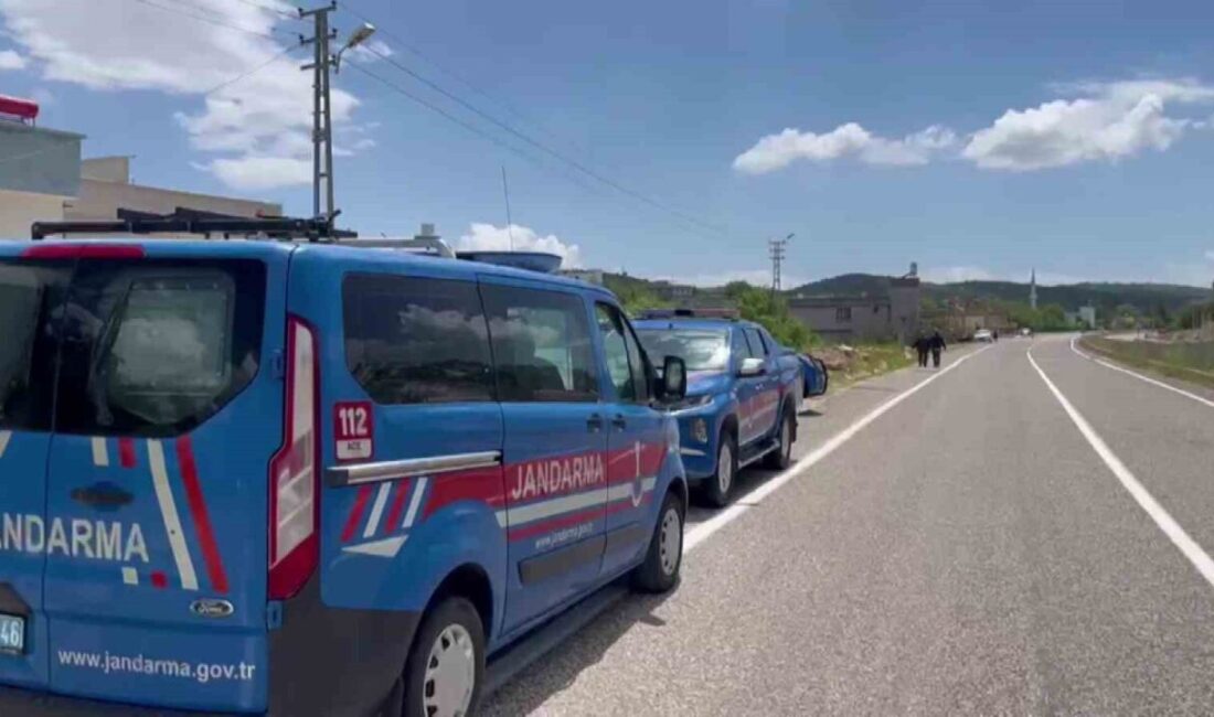 Adıyaman’ın Besni ilçesinde husumetli 2 yaşlı adam arasında çıkan silahlı