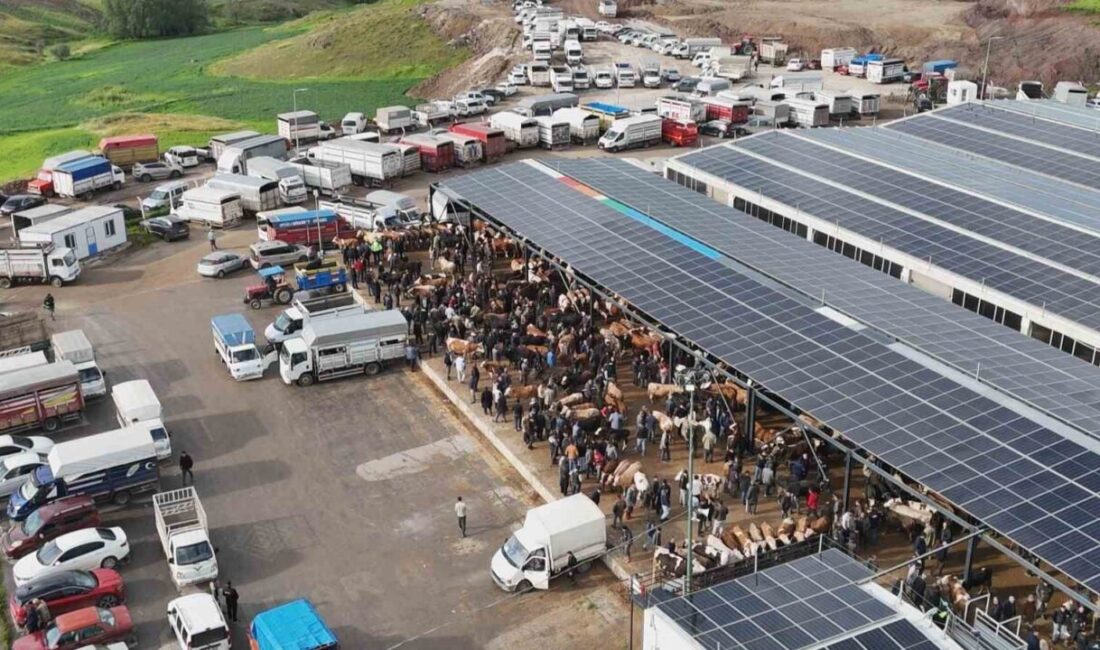 Yaklaşan Kurban Bayramı öncesinde tüm illerden besiciler ve alıcılar, İç