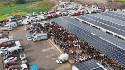 Yaklaşan Kurban Bayramı öncesinde tüm illerden besiciler ve alıcılar, İç