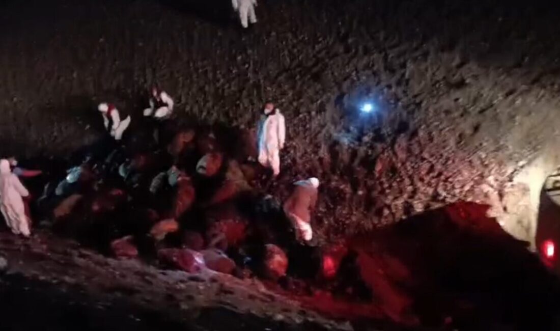 Iğdır’da yaşanan arı saldırısının ardından ortaya çıkan bilanço netleşti. Olayda
