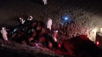 Iğdır’da yaşanan arı saldırısının ardından ortaya çıkan bilanço netleşti. Olayda