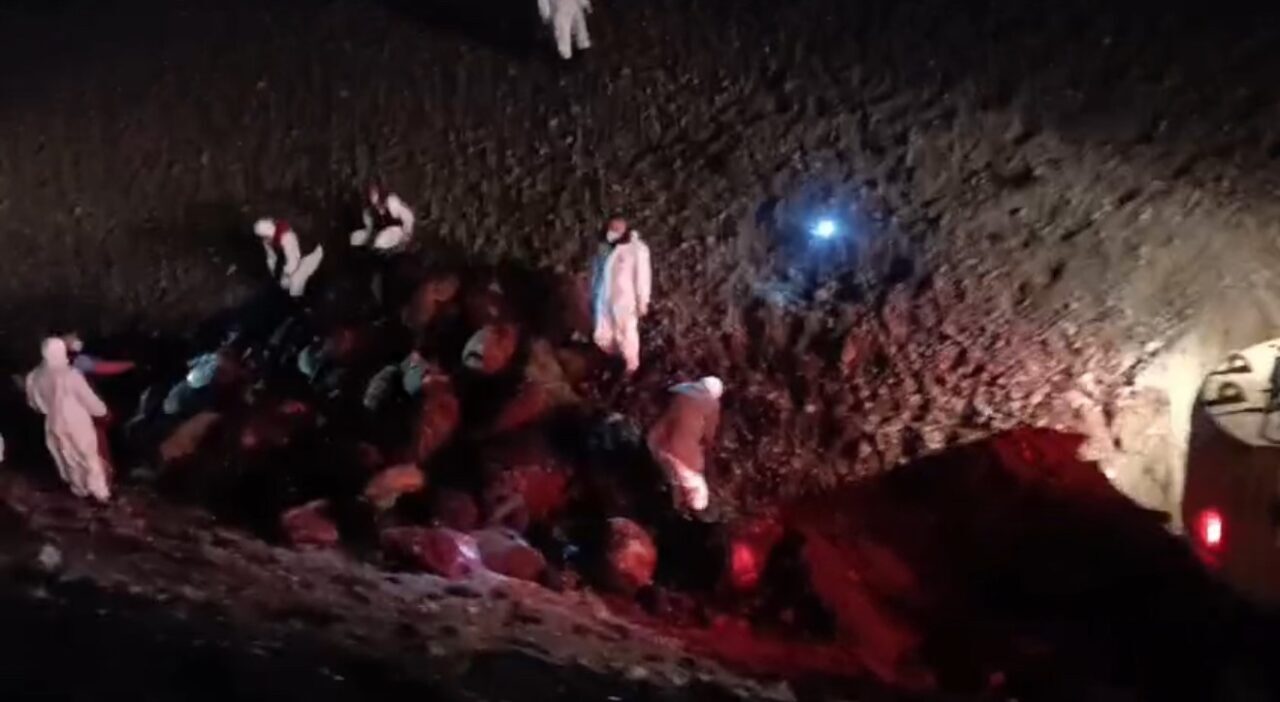 Iğdır’da yaşanan arı saldırısının ardından ortaya çıkan bilanço netleşti. Olayda