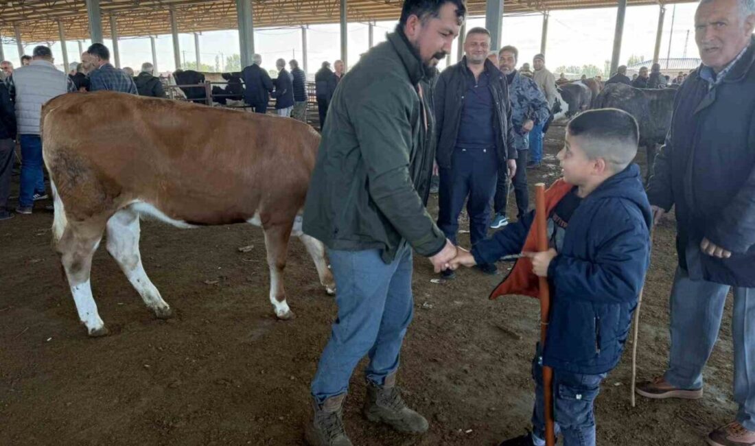 Kurban Bayramı’na bir gün kala Iğdır’daki hayvan pazarında yoğunluk yaşanıyor.