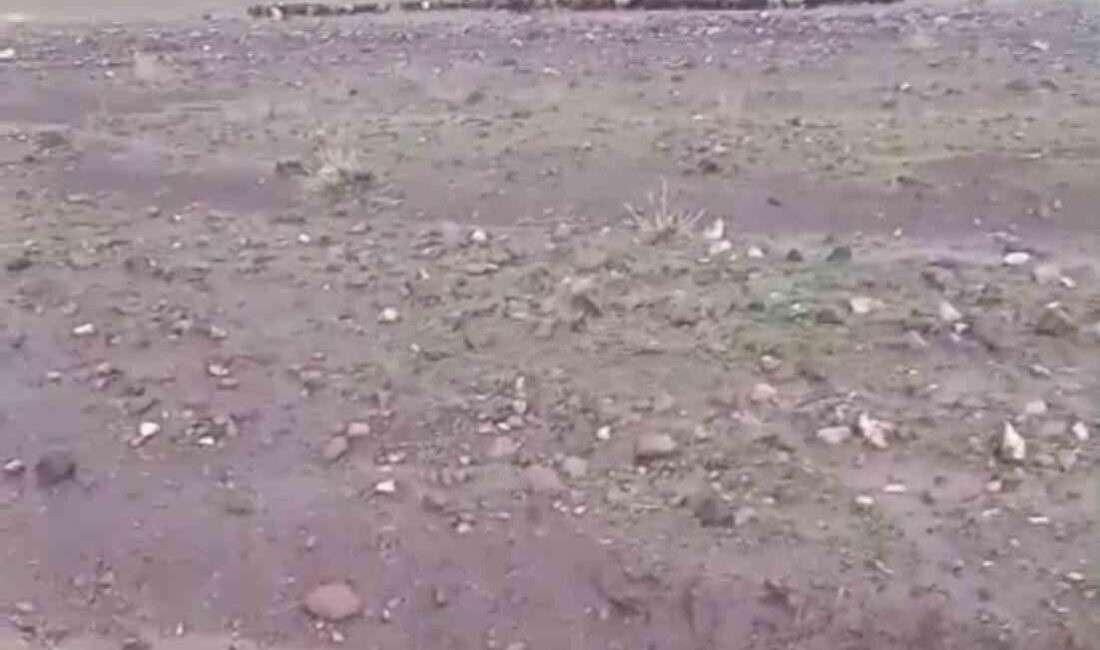 Iğdır merkeze bağlı Aşağı Çarıkçı köyünde etkili olan sağanak yağış