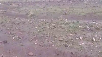 Iğdır merkeze bağlı Aşağı Çarıkçı köyünde etkili olan sağanak yağış