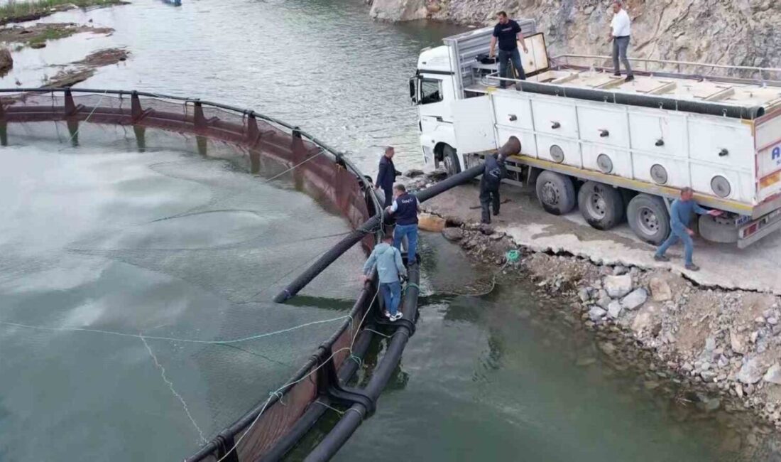 Birçok ülkeye ihraç edilen ‘Türk somonu’nu yetiştirmek için Adıyaman’ın Çelikhan