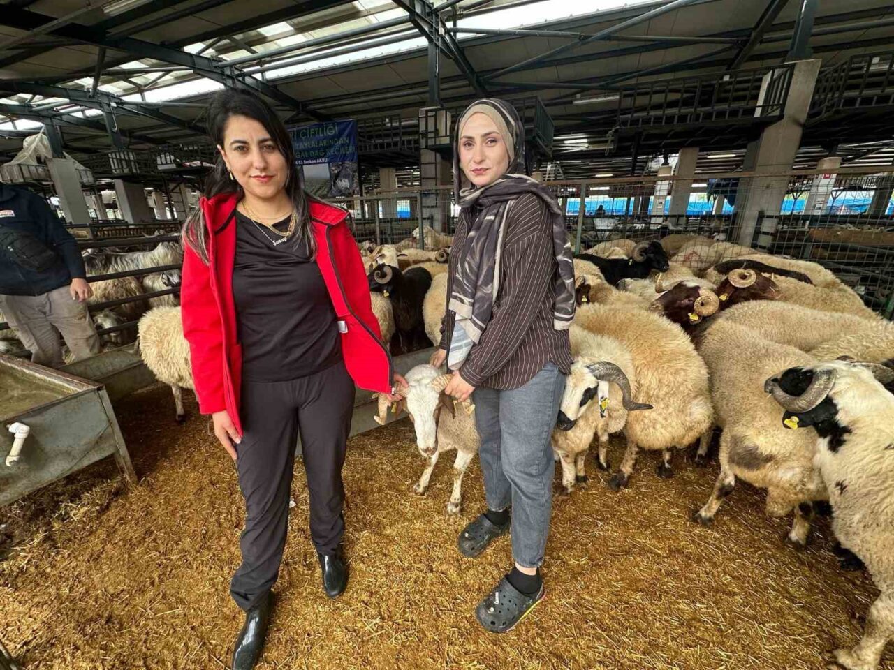 Bursa’nın Osmangazi ilçesinde kurulan kurban pazarında küçükbaş hayvan satışı yapan