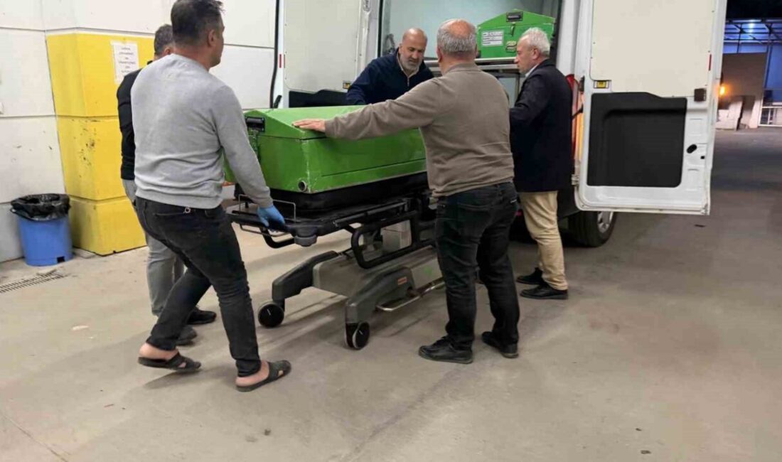 Adıyaman’da, ikinci kattan düşen bir genç hayatını kaybetti. Edinilen bilgilere