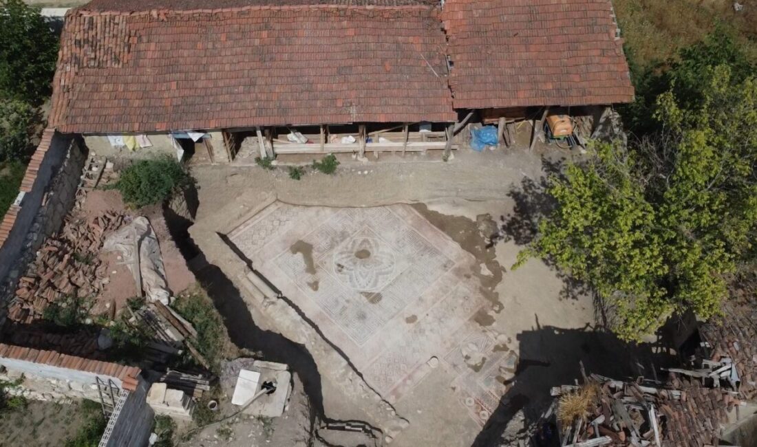Tokat’ın Zile ilçesinde kaçak kazıda ortaya çıkan Roma dönemine ait