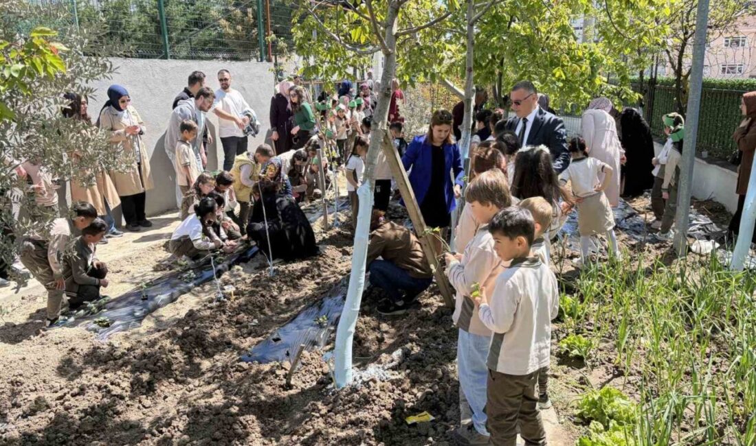 Tekirdağ’ın Kapaklı ilçesinde ilkokul öğrencileri, okul bahçesinde 120 çilek fidesi