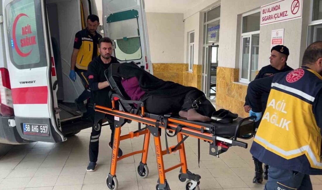 Sivas’ın Yıldızeli ilçesi Töngel köyünde komşunun bostanına giren inek akrabalar