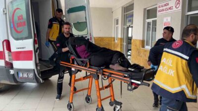 Sivas’ın Yıldızeli ilçesi Töngel köyünde komşunun bostanına giren inek akrabalar