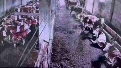 Sivas’ın Gürün ilçesinde meydana gelen 2.9 büyüklüğündeki deprem insanlar tarafından