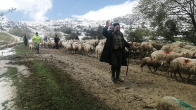 Isparta’nın Yalvaç ilçesine bağlı Yarıkkaya köyünde, yaklaşık 650 küçükbaş hayvanla