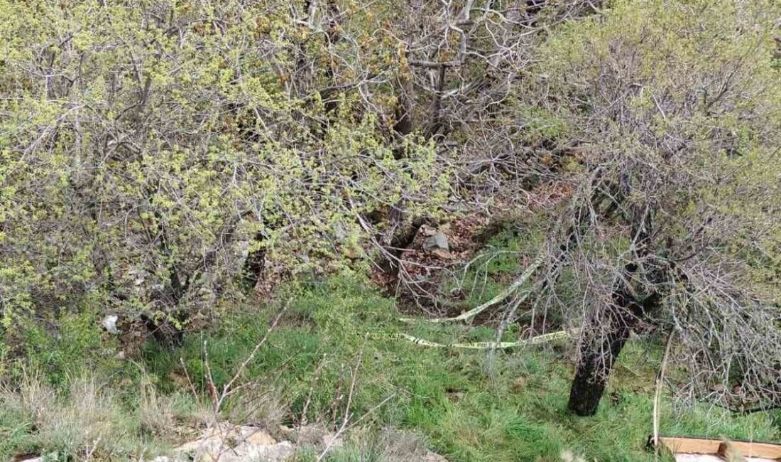 Isparta’da çıktığı tepeden düşen 36 yaşındaki Gülhan Altunbaş yaşamını yitirirken,