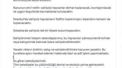 İstanbul Valisi Davut Gül, kentte sahipsiz köpeklerin yüzde 46’sının toplandığını