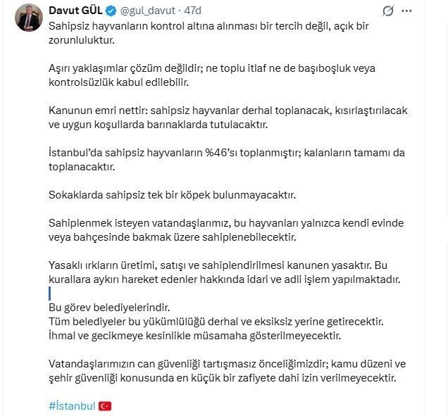 İstanbul Valisi Davut Gül, kentte sahipsiz köpeklerin yüzde 46’sının toplandığını
