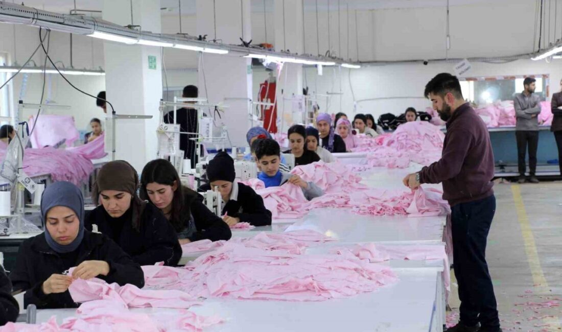 Şırnak’ın Güçlükonak ilçesine bağlı Gabar Dağı eteklerindeki Soğucak köyünden 24
