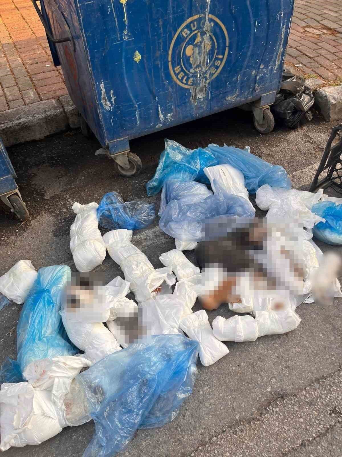 İzmir’in Buca ilçesinde bir çöp konteynerinde 33 ölü kedinin bulunmasına
