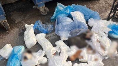 İzmir’in Buca ilçesinde bir çöp konteynerinde poşetler içerisinde 33 ölü