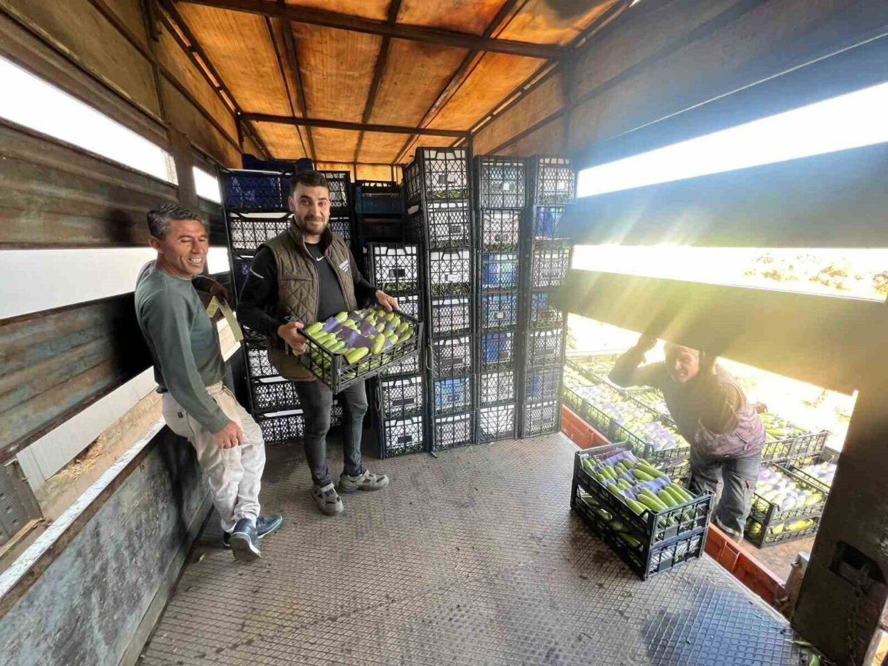 Bursa’nın İznik ilçesine bağlı Boyalıca Mahallesi’nde yetişen mevsim ilk kabaklarının