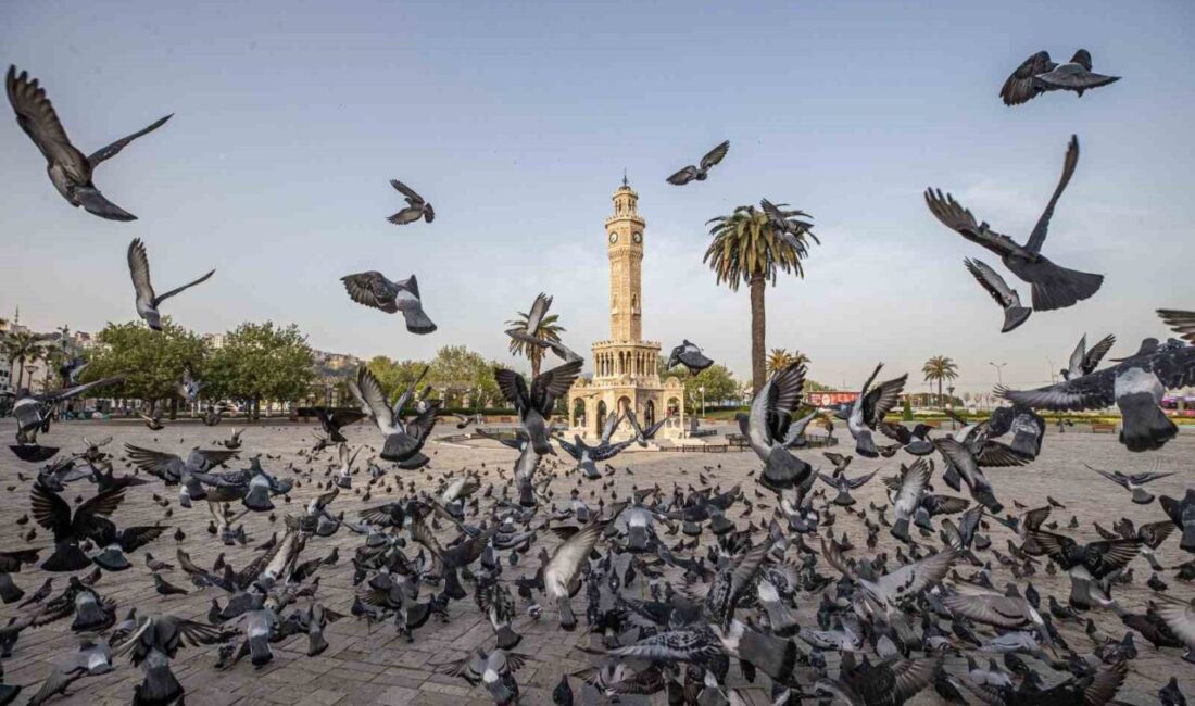 İzmir Büyükşehir Belediyesi, “İki Çizgi Arasında: Geleceğin İzmir’ine Bugünden Bir