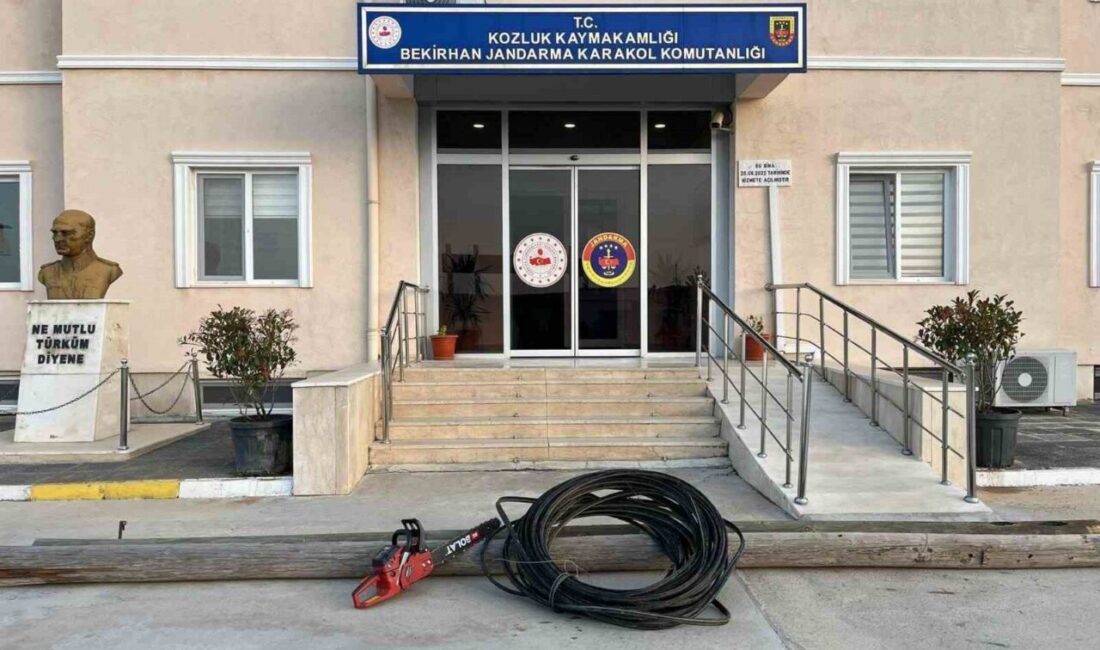 Batman’ın Kozluk ilçesinde kamu kurumuna ait haberleşme hatlarını çalmaya çalışan