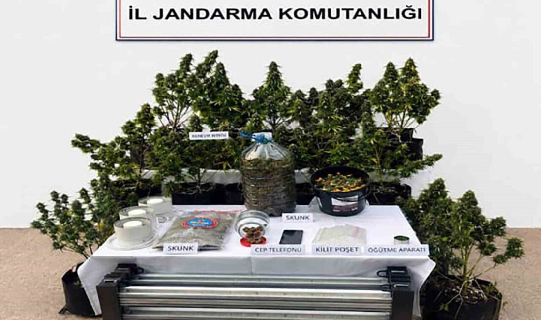 Muğla İl Jandarma Komutanlığı sorumluluk alanında 11-17 Mayıs 2026 tarihleri