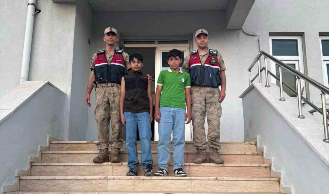 Şanlıurfa’nın Viranşehir ilçesinde devriye görevi yapan jandarma ekiplerinin yol kenarında