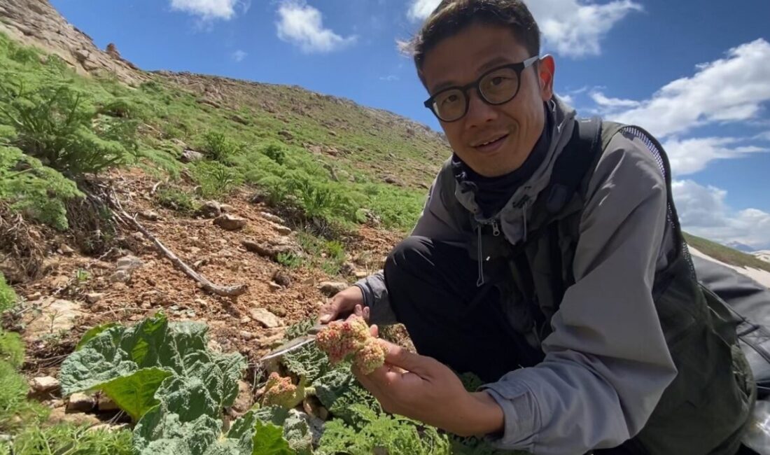 HAKKARİ (İHA) – Japonya’dan bölgenin coğrafyasını merak ederek Hakkari’nin Yüksekova