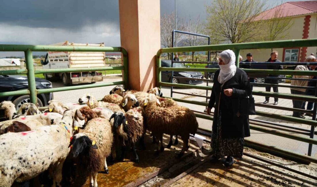 MUŞ (İHA) – Muş’ta hayata geçirilen “Kırsalda İkamet Eden Kadınlara