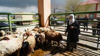 MUŞ (İHA) – Muş’ta hayata geçirilen “Kırsalda İkamet Eden Kadınlara